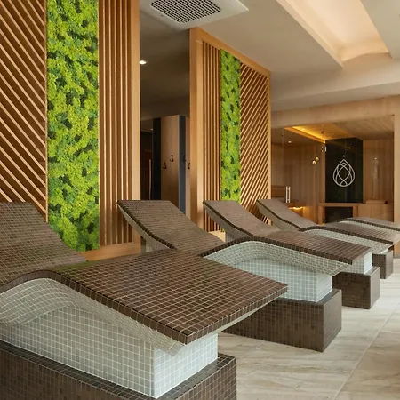 酒店 Grand Medical And Epicentrum 帕维尔巴尼亚